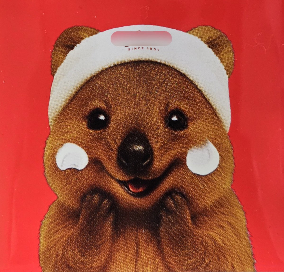 준(🤍🚦) tweet media