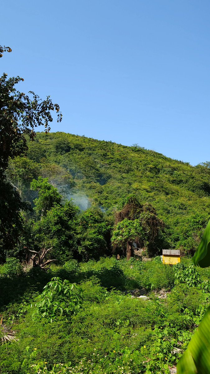 OKUI JUN tweet media