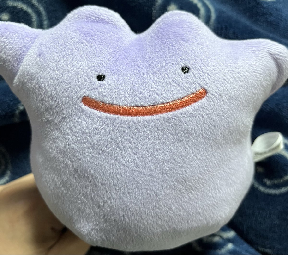 にじぶどうorみつい tweet media