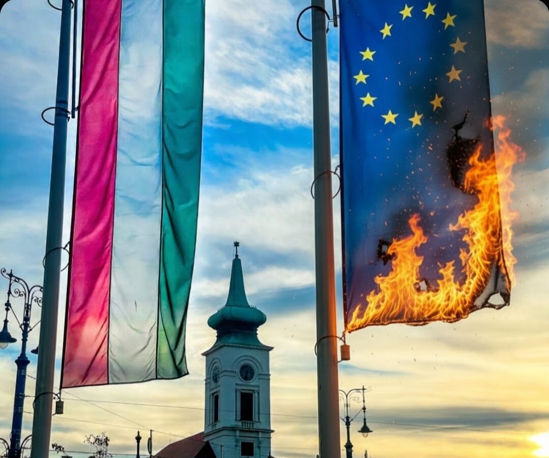 Mario ZNA tweet media