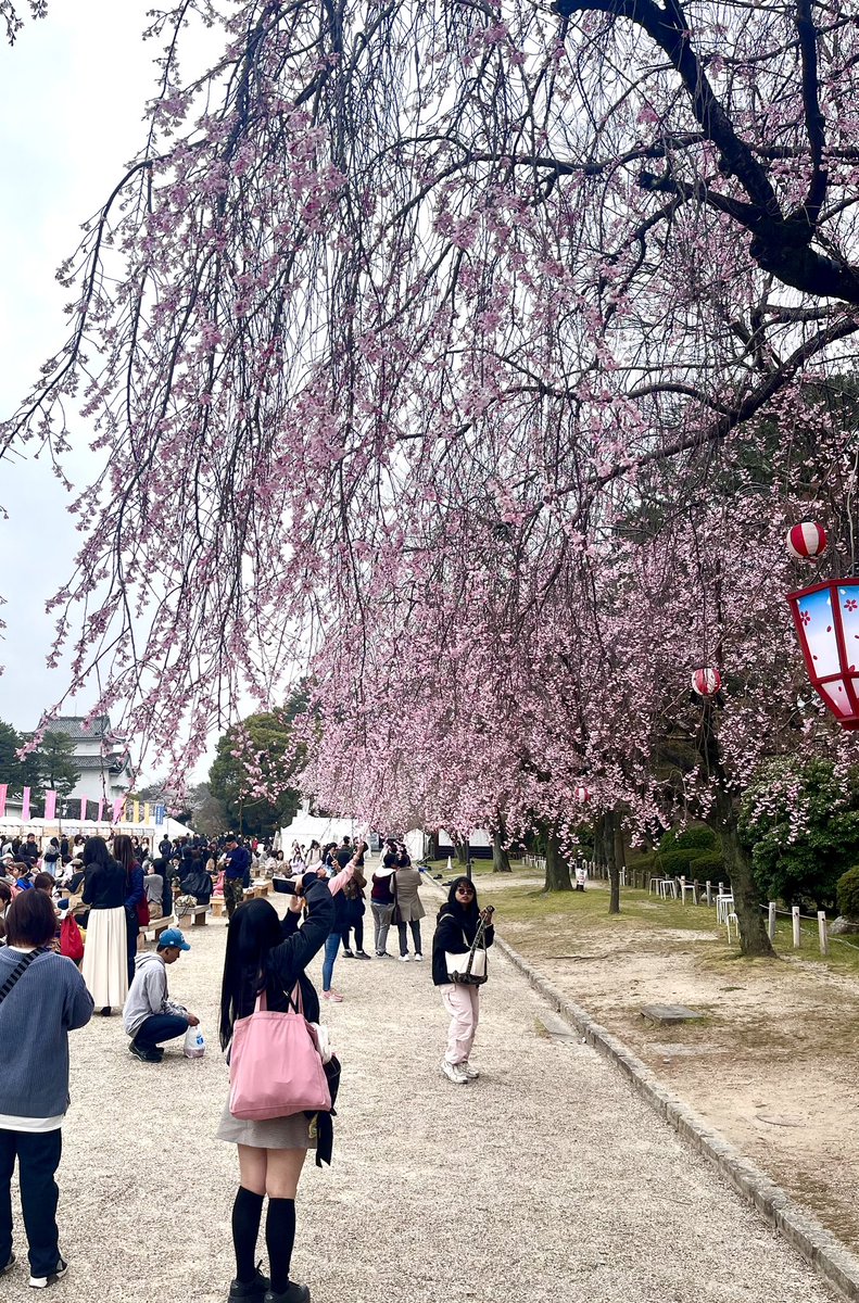 【公式】ゆとりーとライン新キャラ@名前はまだありません！ tweet media