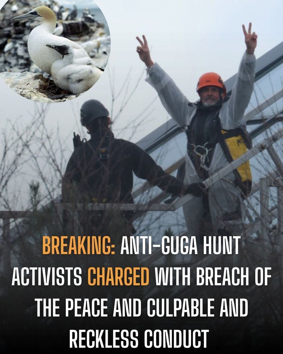 Protect the Wild tweet media