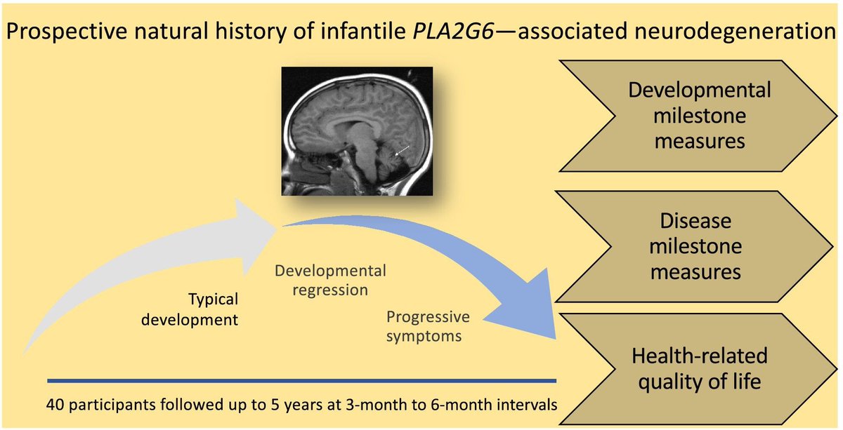 Mac Keith Press tweet media