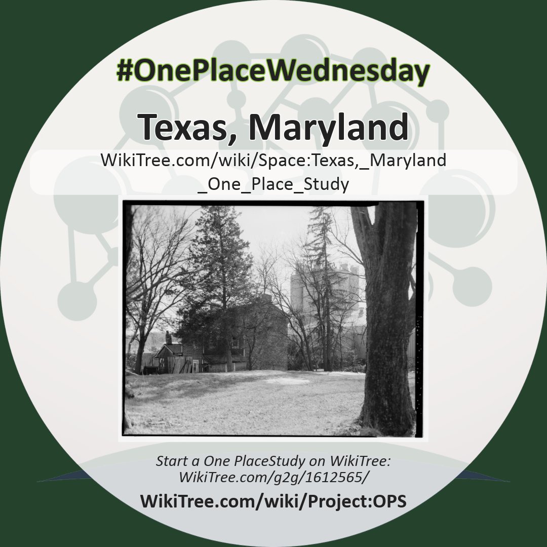 WikiTree tweet media