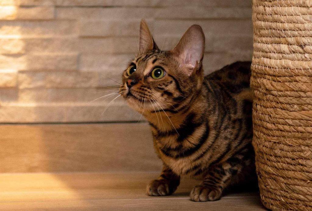 MetaleuxGeek tweet media