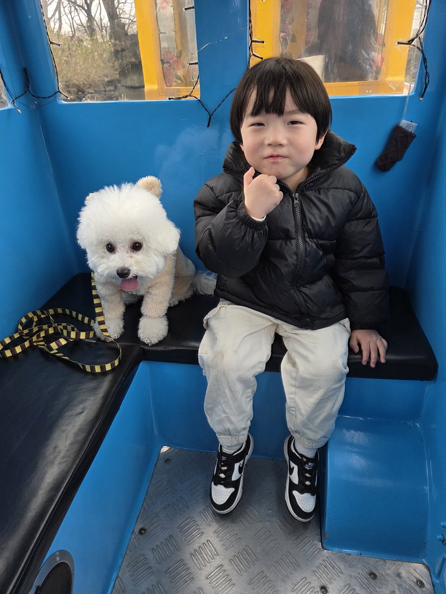 용용 (메인트 부코 플랜) tweet media