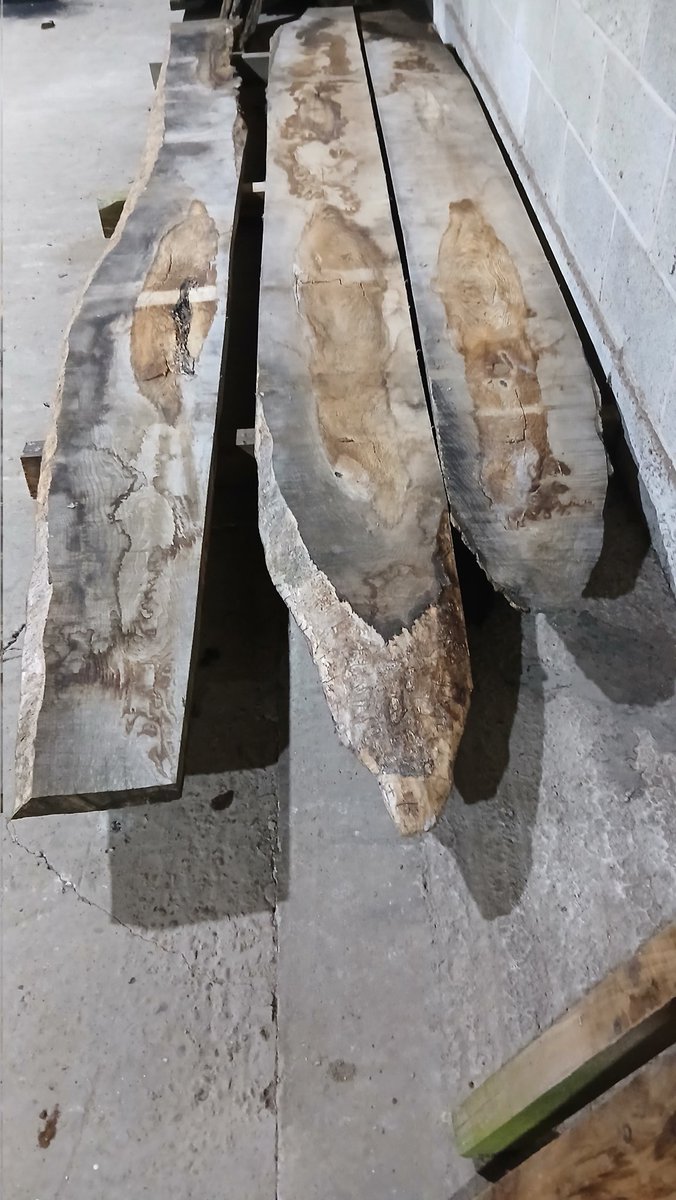 Patrick Turk tweet media