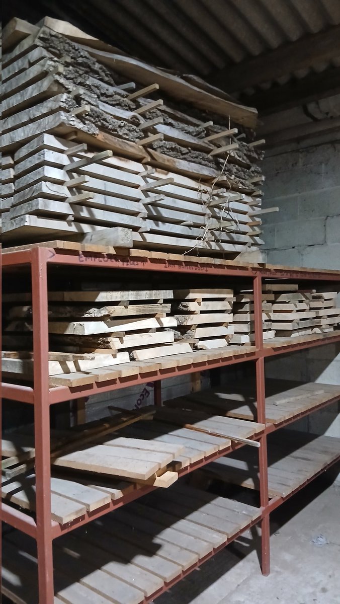 Patrick Turk tweet media