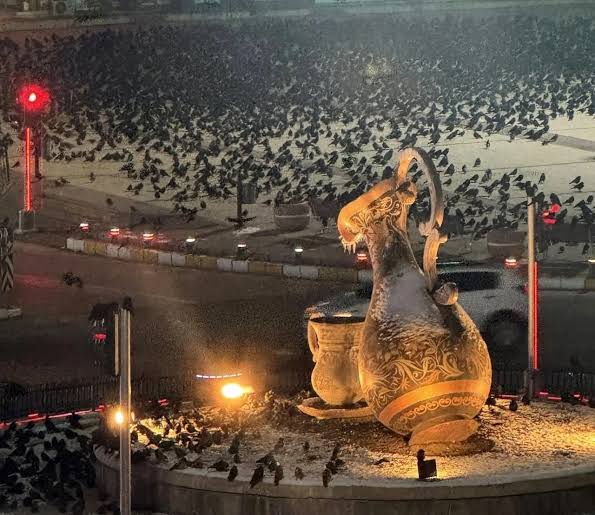MustafaKoksalDB's tweet photo. Bu kafayla Erzincanın yerin yedi kat altına batması lazım https://t.co/WKt6A12dck