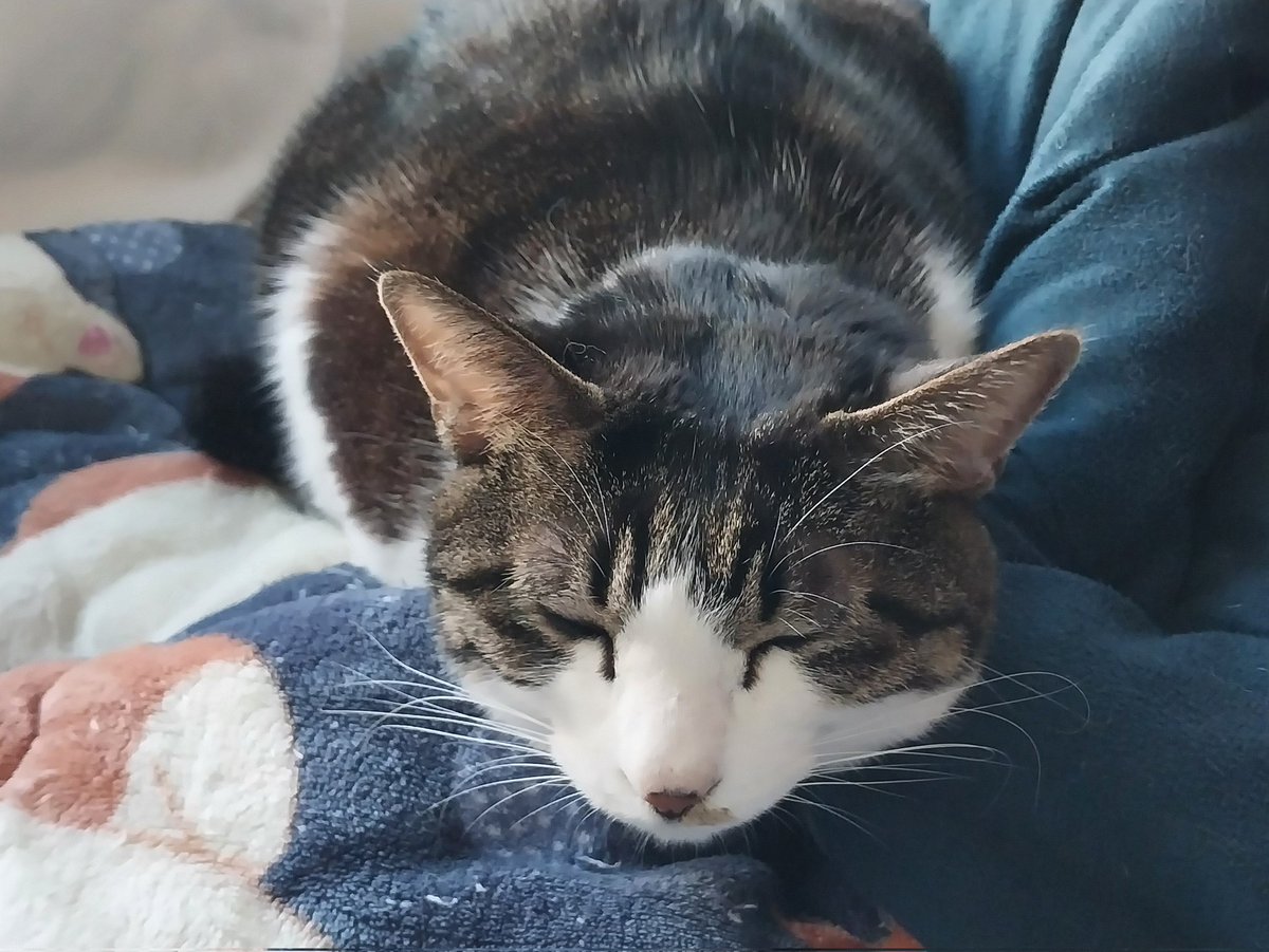 WONG(웡) tweet media