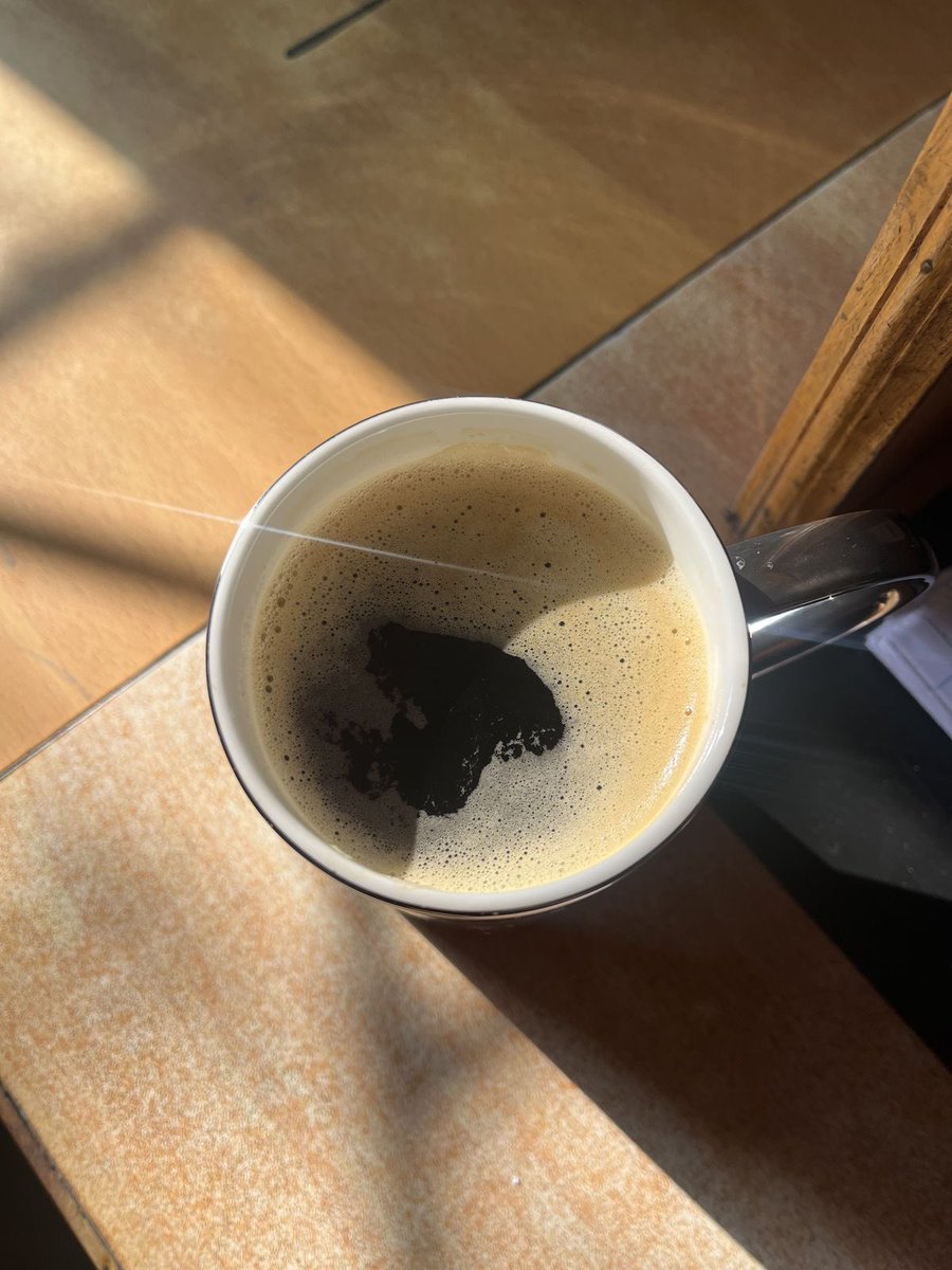 ☕️ Espuma de Café tweet media