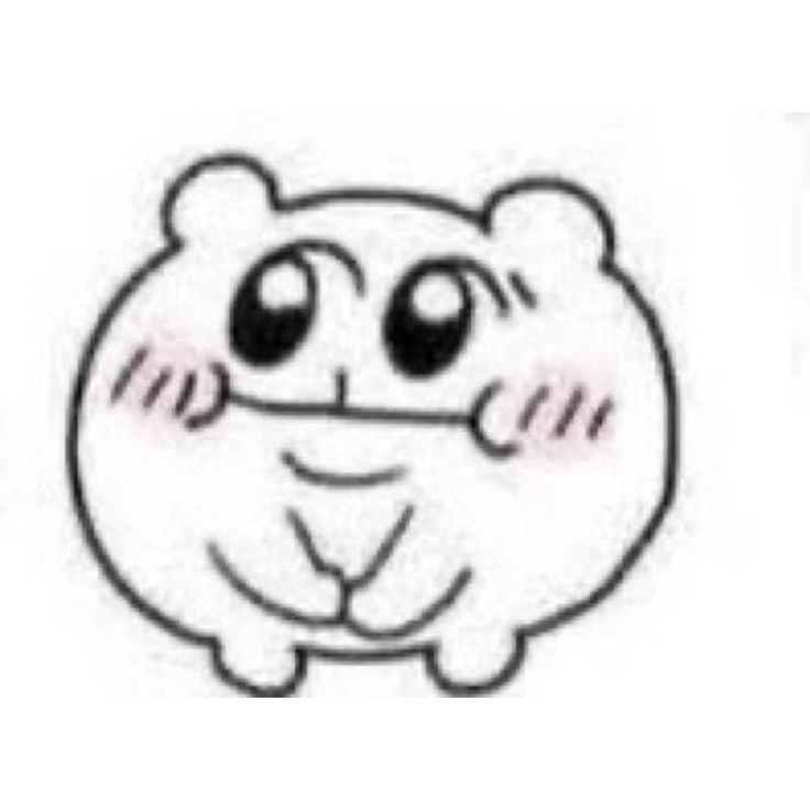 meimei ꣑ৎ tweet media