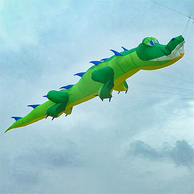 Kite Plan Base tweet media