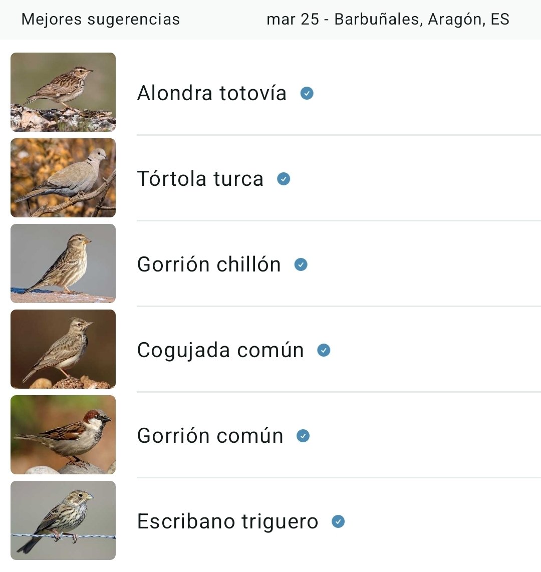 Rory Bellows tweet media