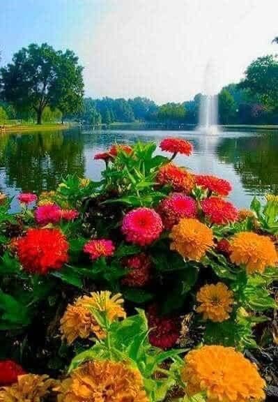 ريحانة tweet media