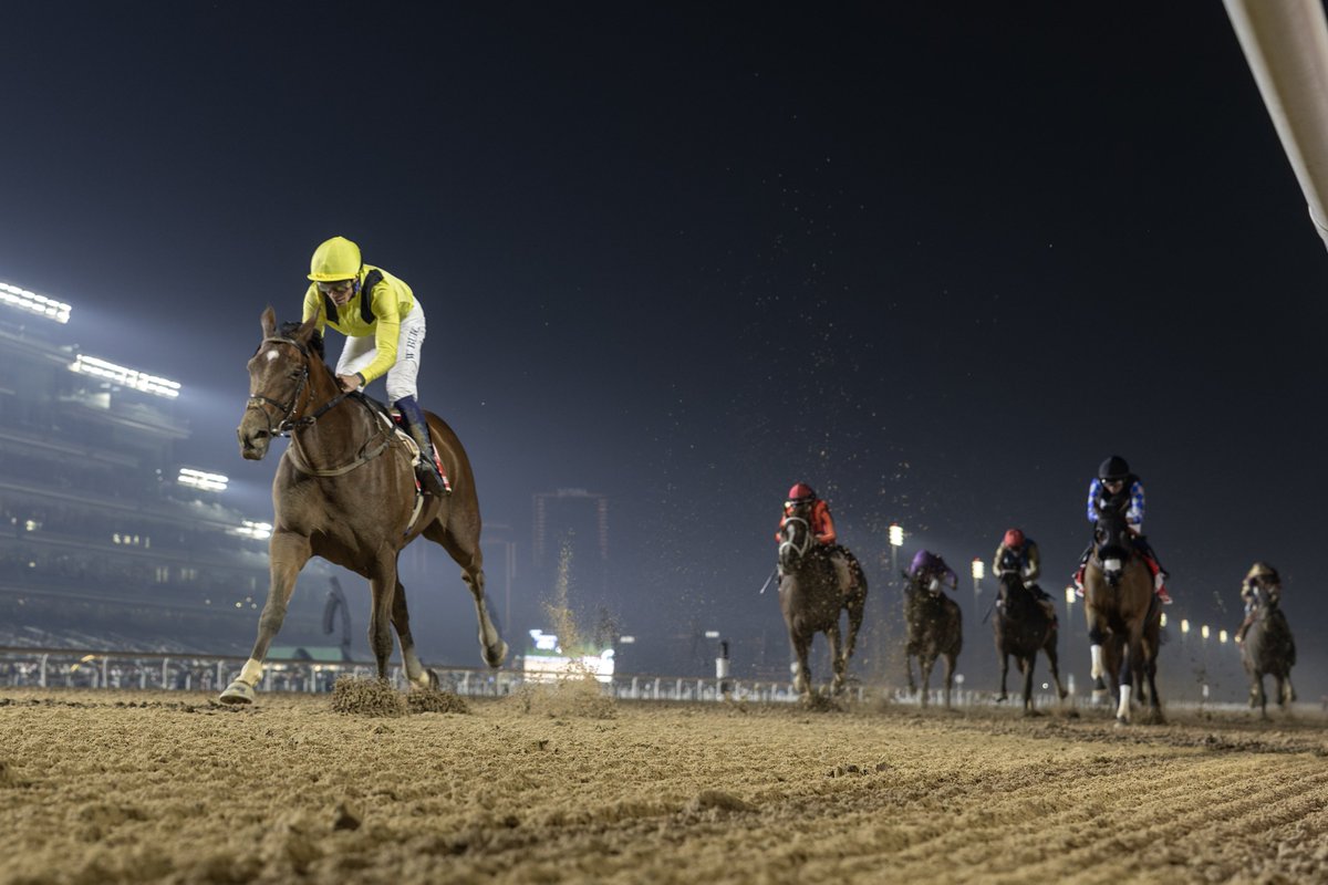 RacingDubai's tweet photo. It's barrier 2️⃣ for Super Saturday winner MEYDAAN!
#DWC26 #PostPositionDraw https://t.co/NQzkbUNhl1
