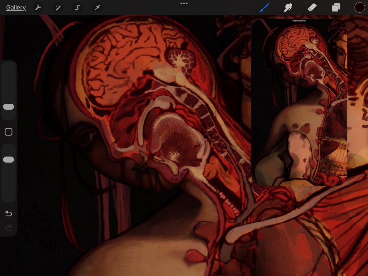 🍉ayphyd🍉 tweet media