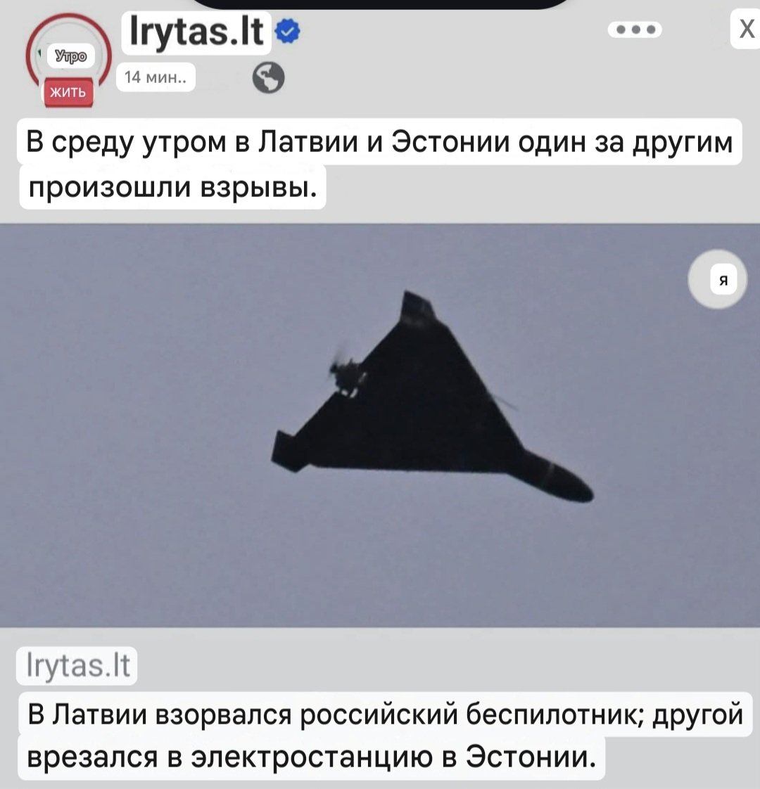 IlonaD 🇱🇹❤️🇺🇦 tweet media