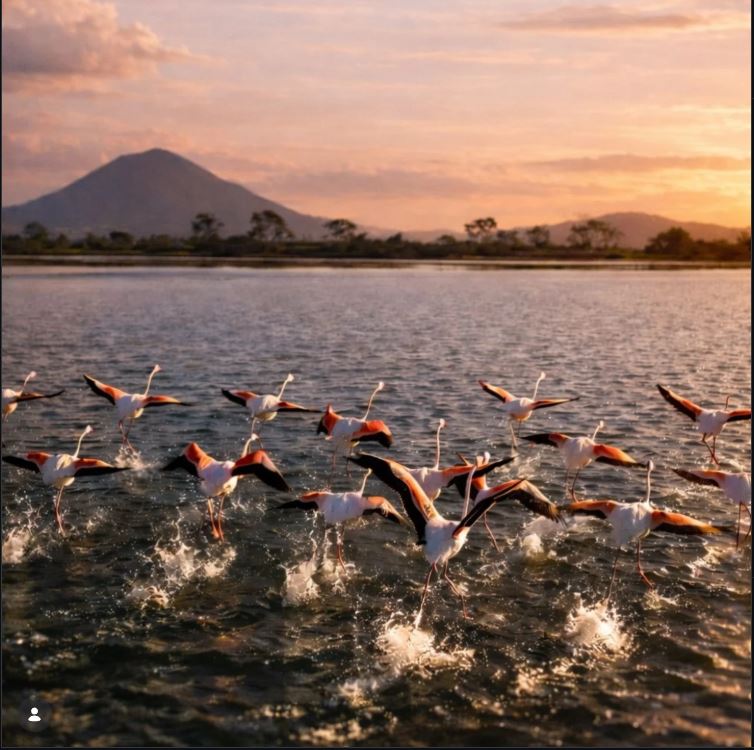 Μπούρμπουνας (reborn) tweet media