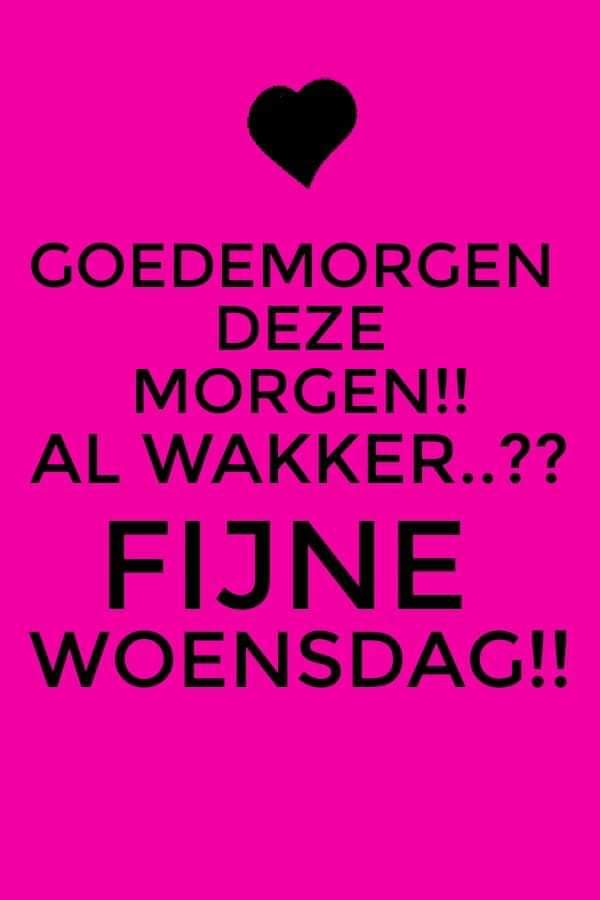 Jürgen Mudman Modderkolk tweet media