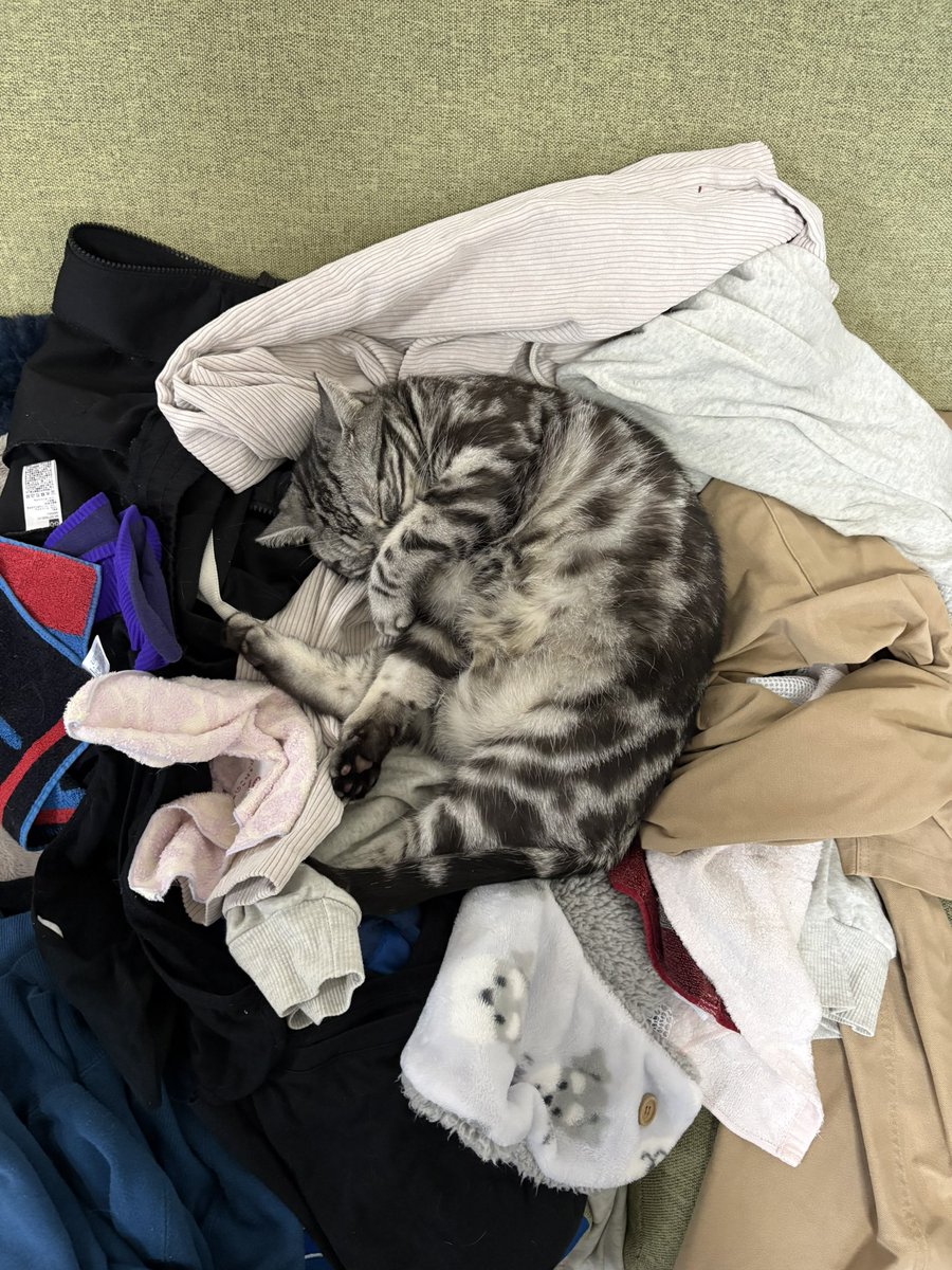 コンポート tweet media