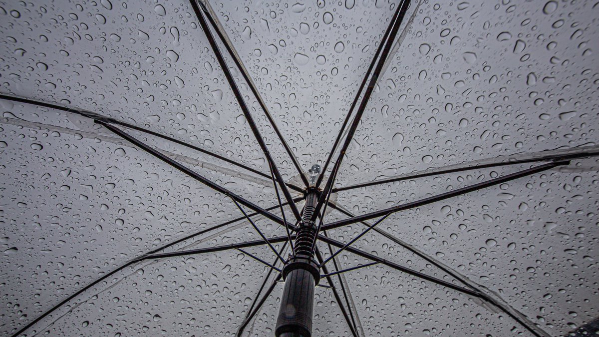 AbDonkerFoto's tweet image. Eerst nog zon, later weer regen in Meteren vanmorgen #regen @BuienRadarNL @BuitenGewoonGLD @weerverteller
@RTLOntbijtnws @WilliamHuizinga @mrmiddendorp
@onwukaa @nicolienkroon @helgavanleur
@OmroepGLD  @weerdiensten @Weerplaza @HartvNL
@weermanrobert