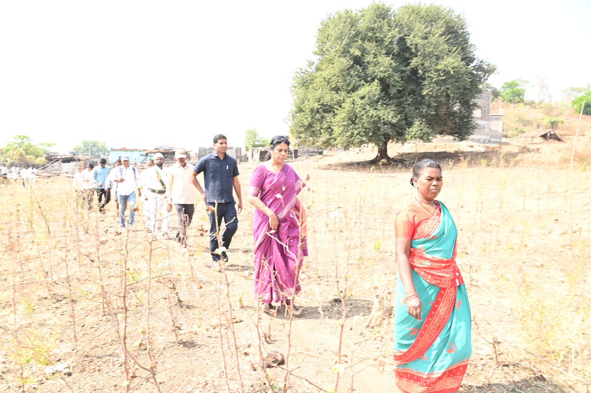 Collector Kumuram Bheem Asifabad tweet media