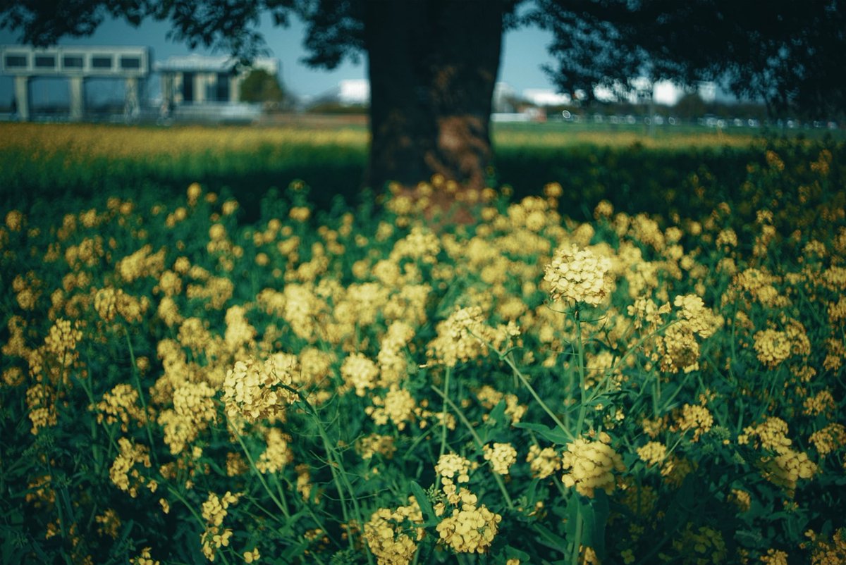 EXS(エクス) tweet media