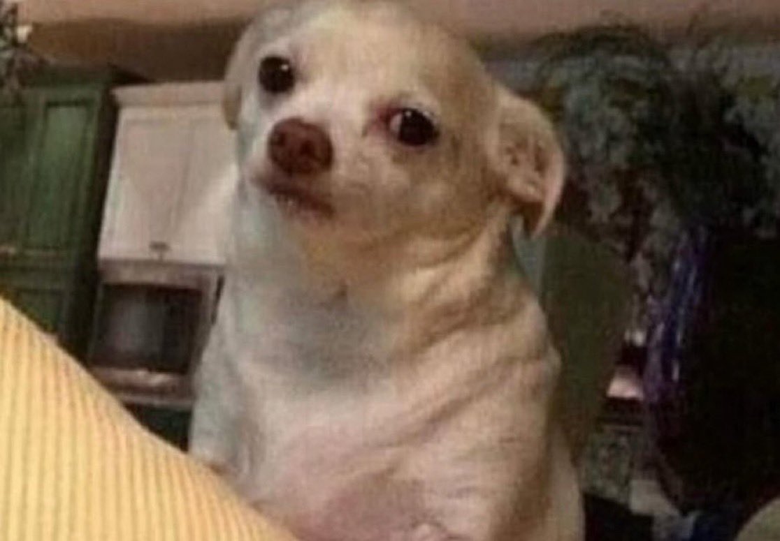 𝐋𝐚𝐧𝐫𝓮 tweet media