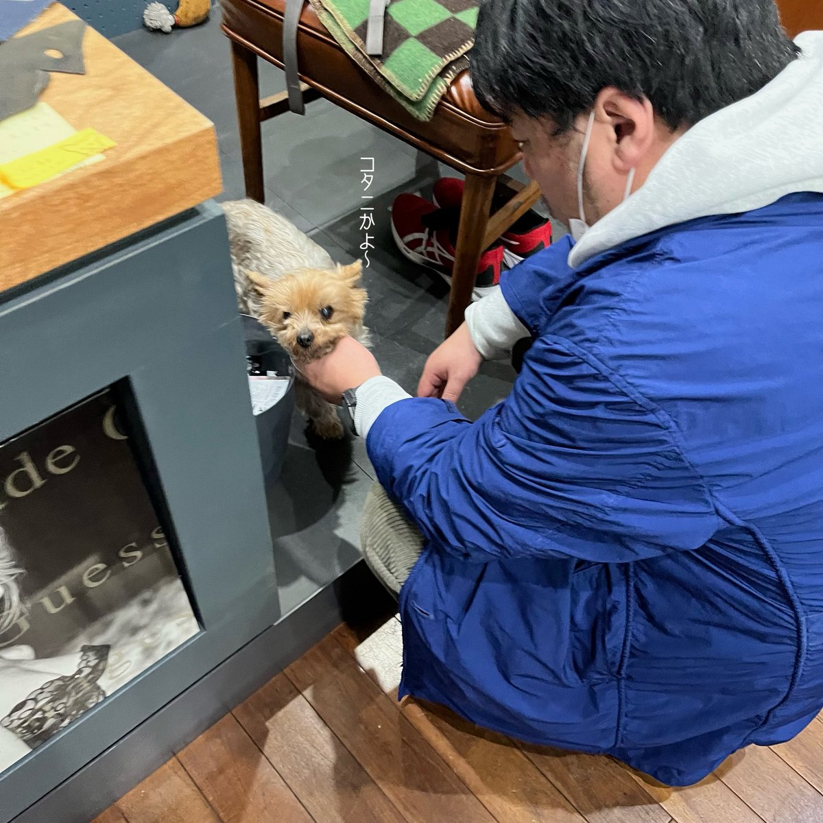 今日は水曜日なのでお休みですが、誰か間違えて来ないかなーと店を開けていたら、コタニさんが来ました