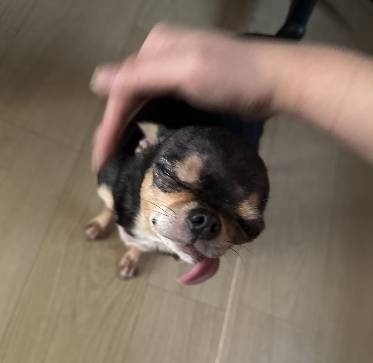 빙빙 돌아가는 회전빙빙처럼 tweet media