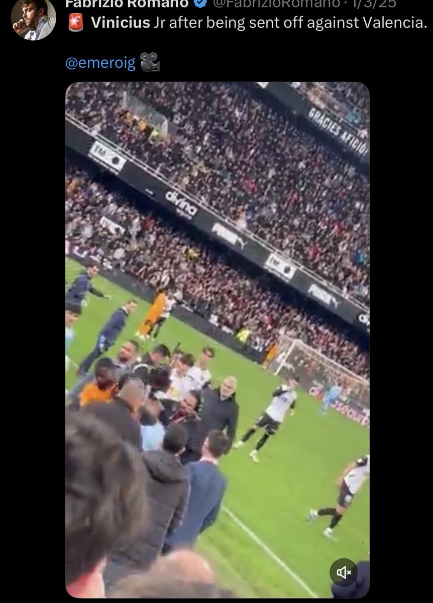 THE DUKE OF MADRID tweet media