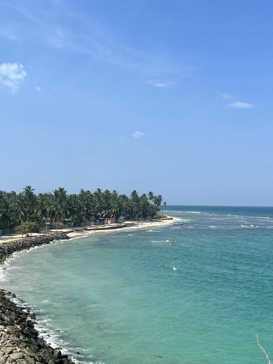 Globe Tucker tweet media