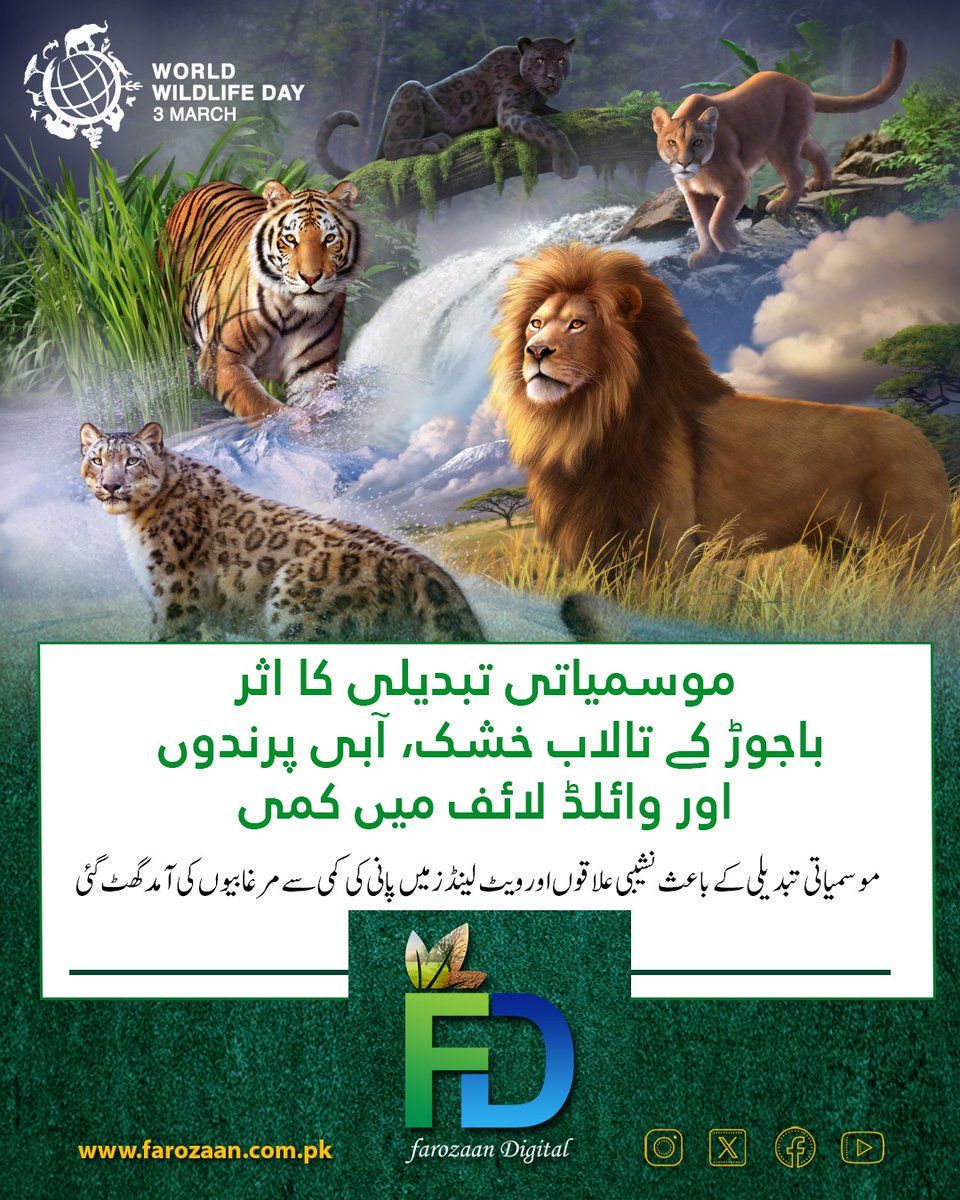 پوری خبر پڑھنے کے لیےدیئے گئے لنک پرکلک کریں :
farozaan.com.pk/%d9%81%d8%b1%d…
#ClimateCrisis #Wetlands #WildlifeConservation #Pakistan #SaveNature