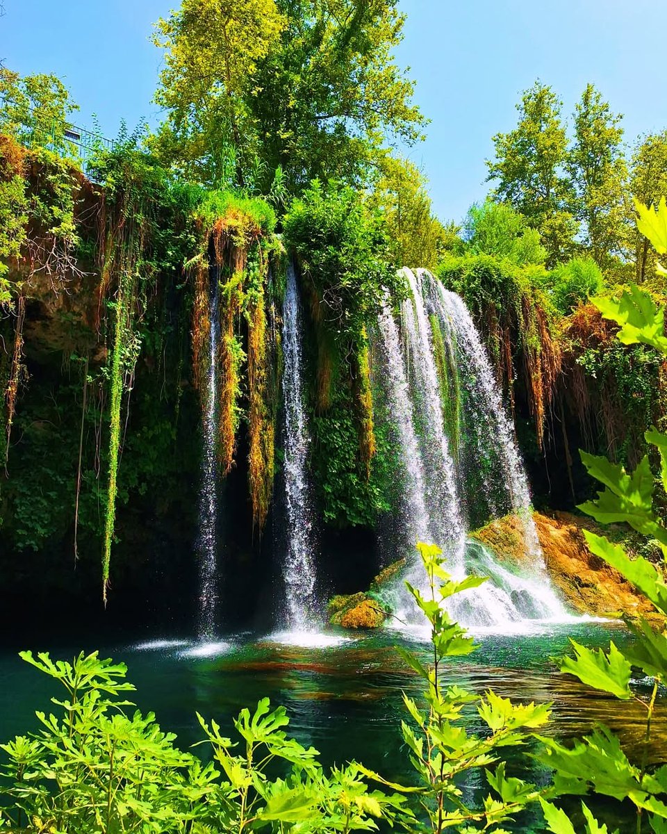 Go Türkiye tweet media