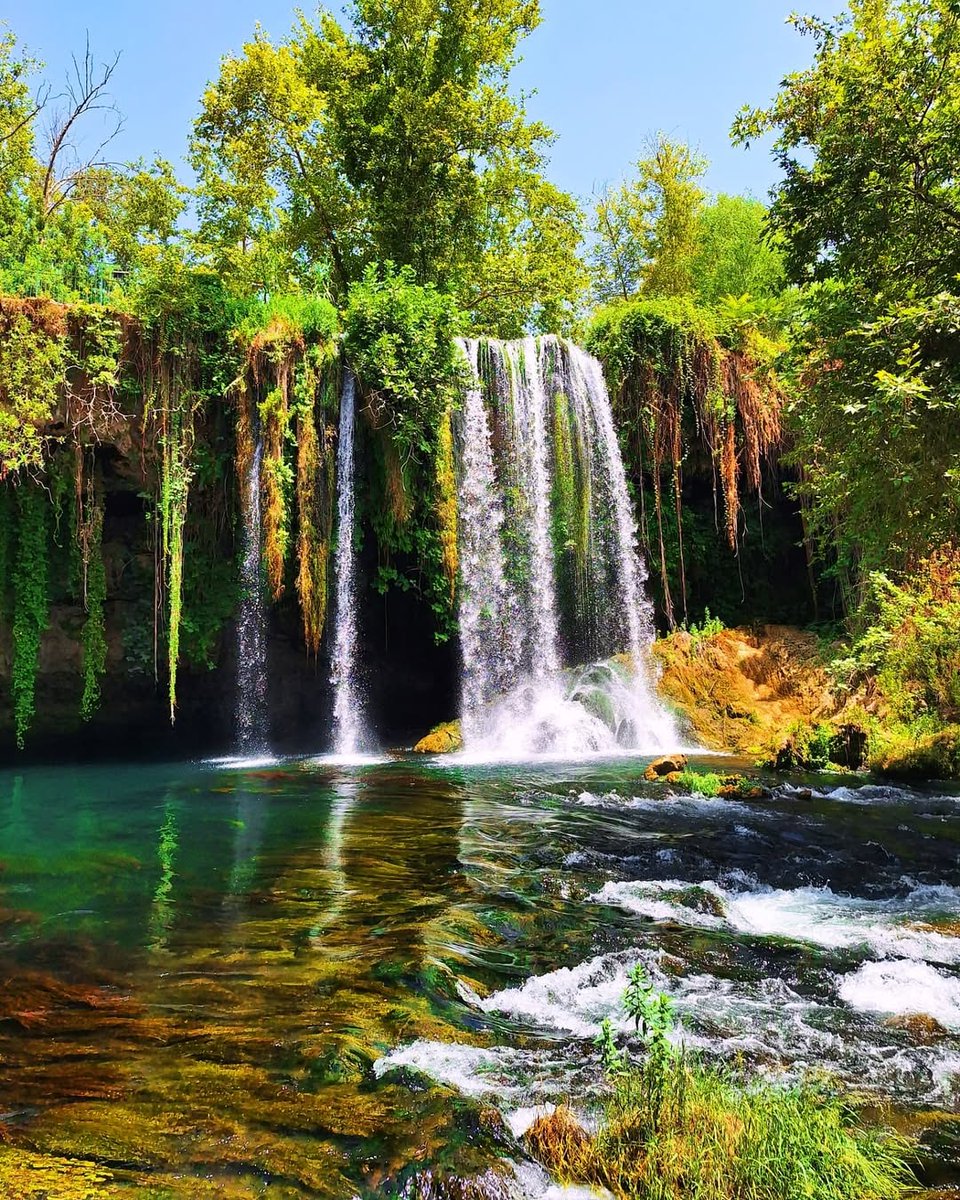 Go Türkiye tweet media