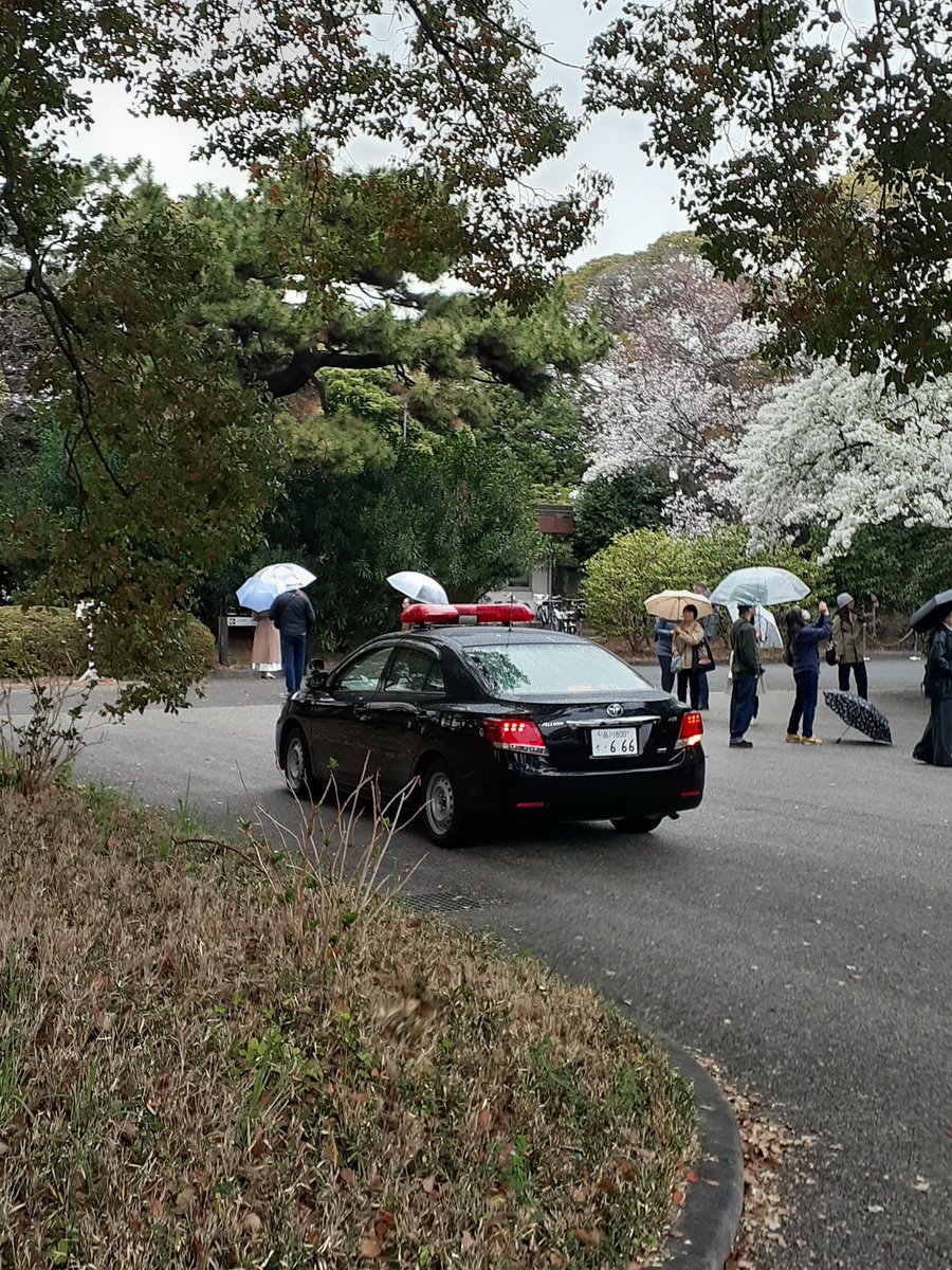 踊る墨東PS tweet media