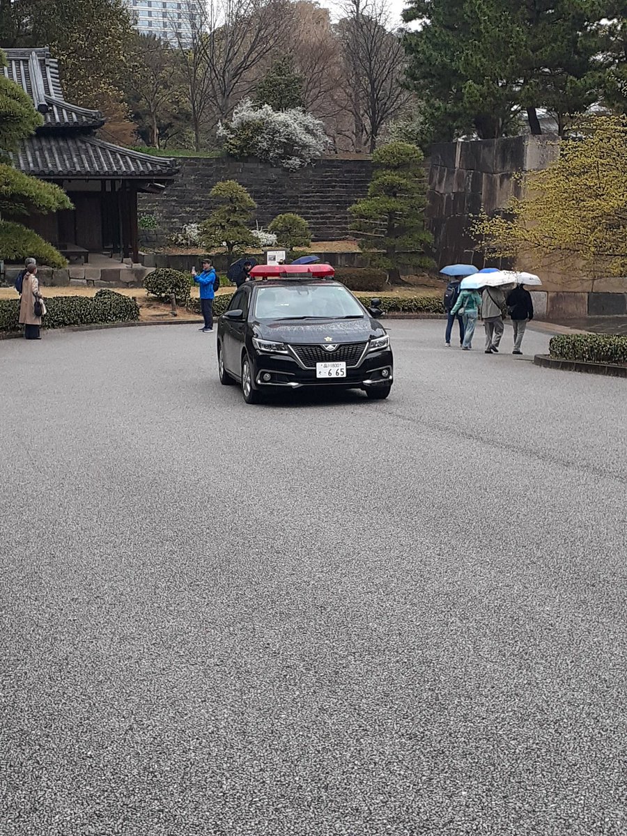 踊る墨東PS tweet media