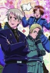 Spinne mit rotem Rücken tweet media