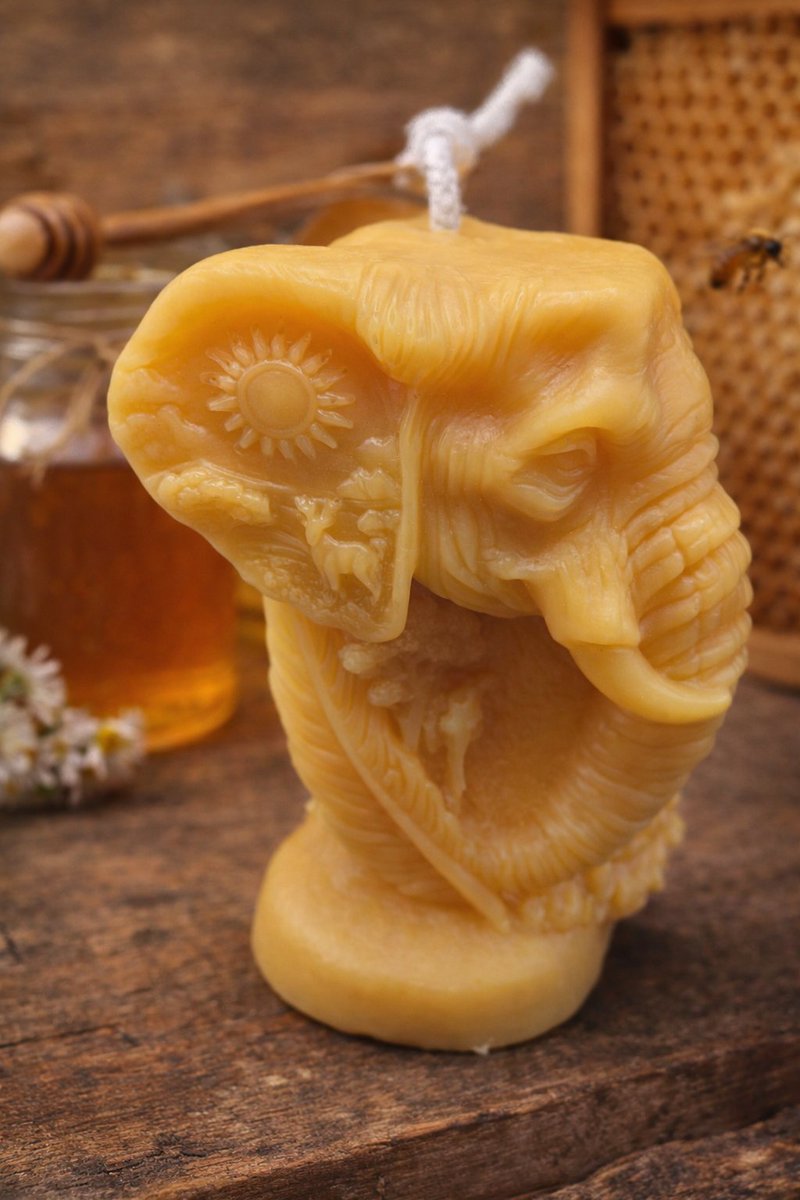 Gill-Eve Honey Bees tweet media