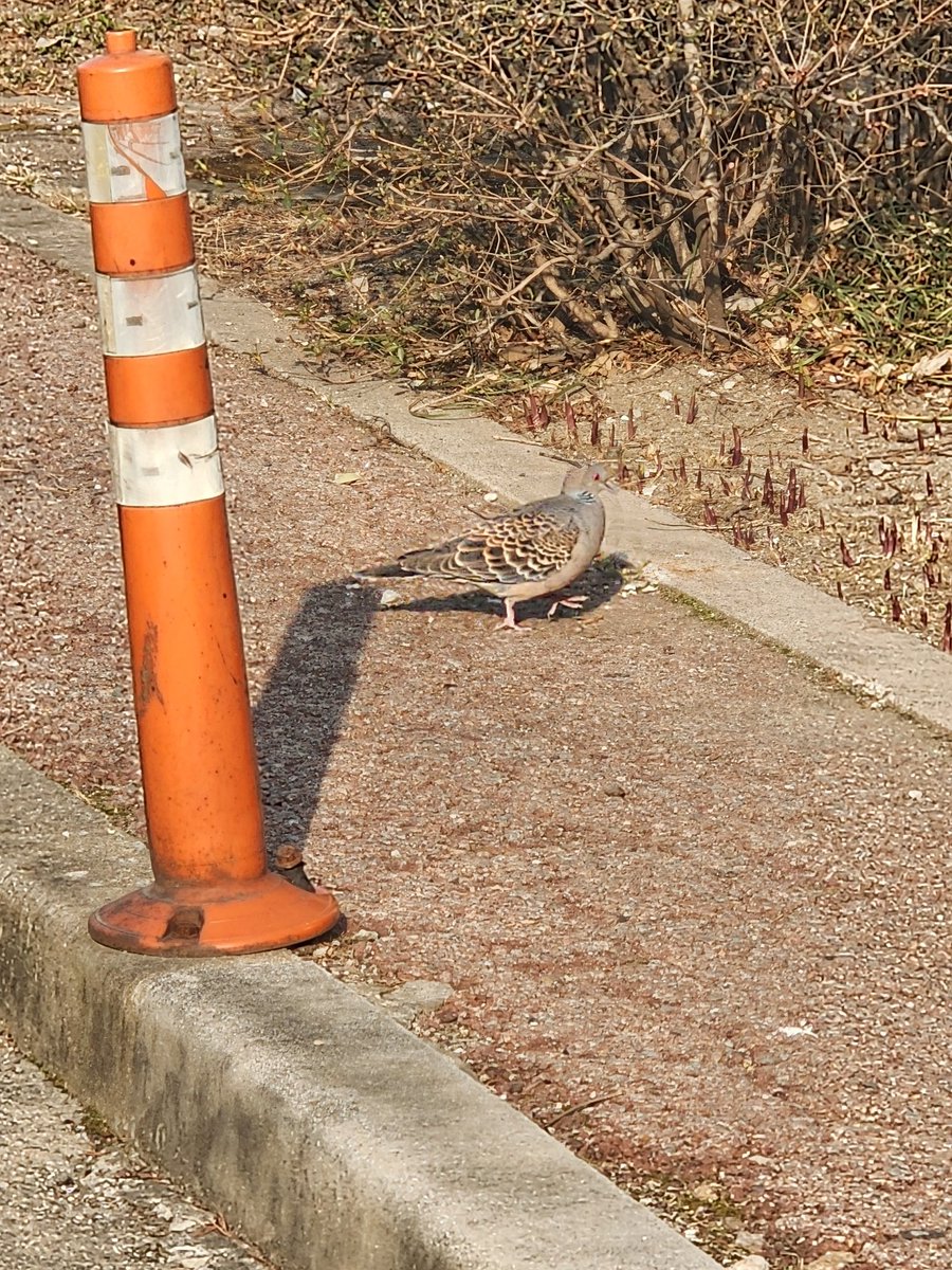 방우리 tweet media