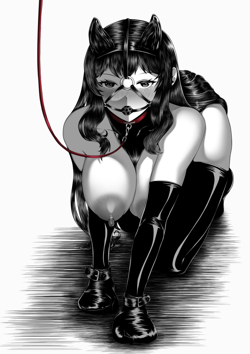 ボンデージ犬娘
Bondage Dog Girl 