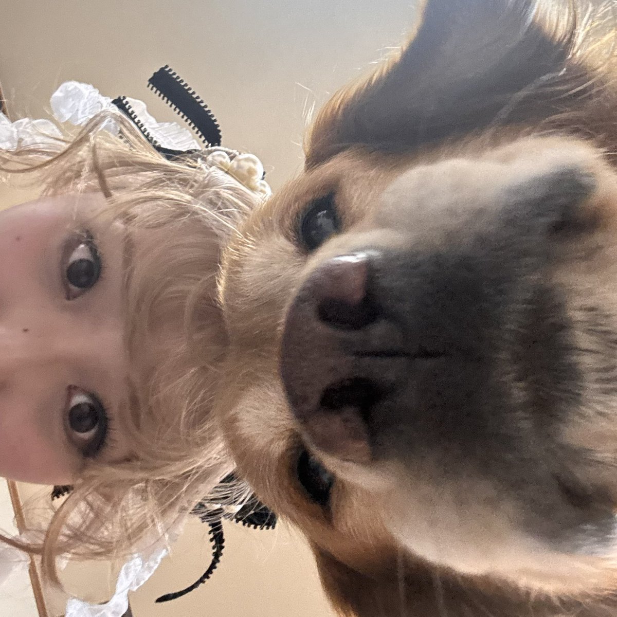 松本 萌花 (もえはな) tweet media