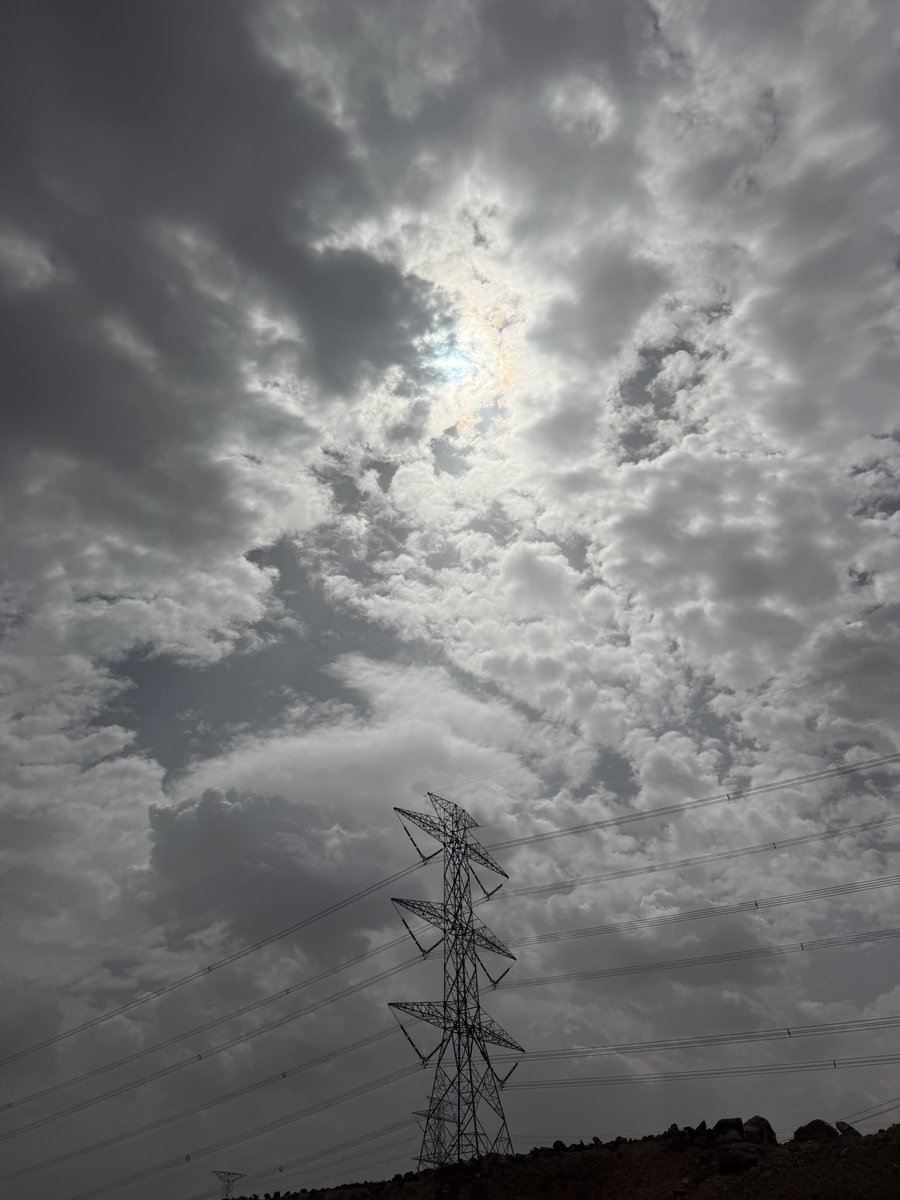 هديل🕊 tweet media