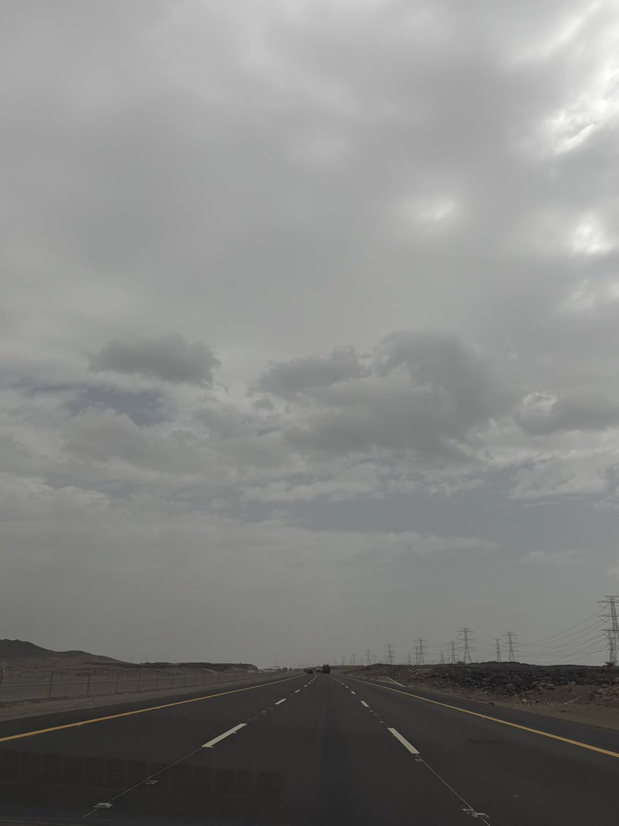 هديل🕊 tweet media