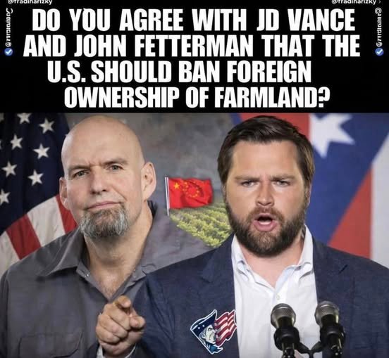 MAGA LADY 🇺🇸 tweet media