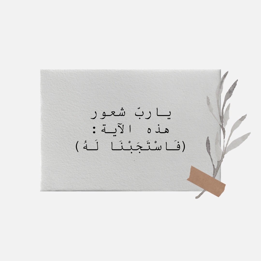 𝓐𝓰𝓮𝓮𝓻 🕊️ tweet media