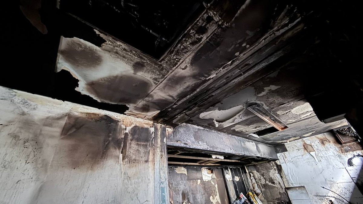 홈리스행동 tweet media