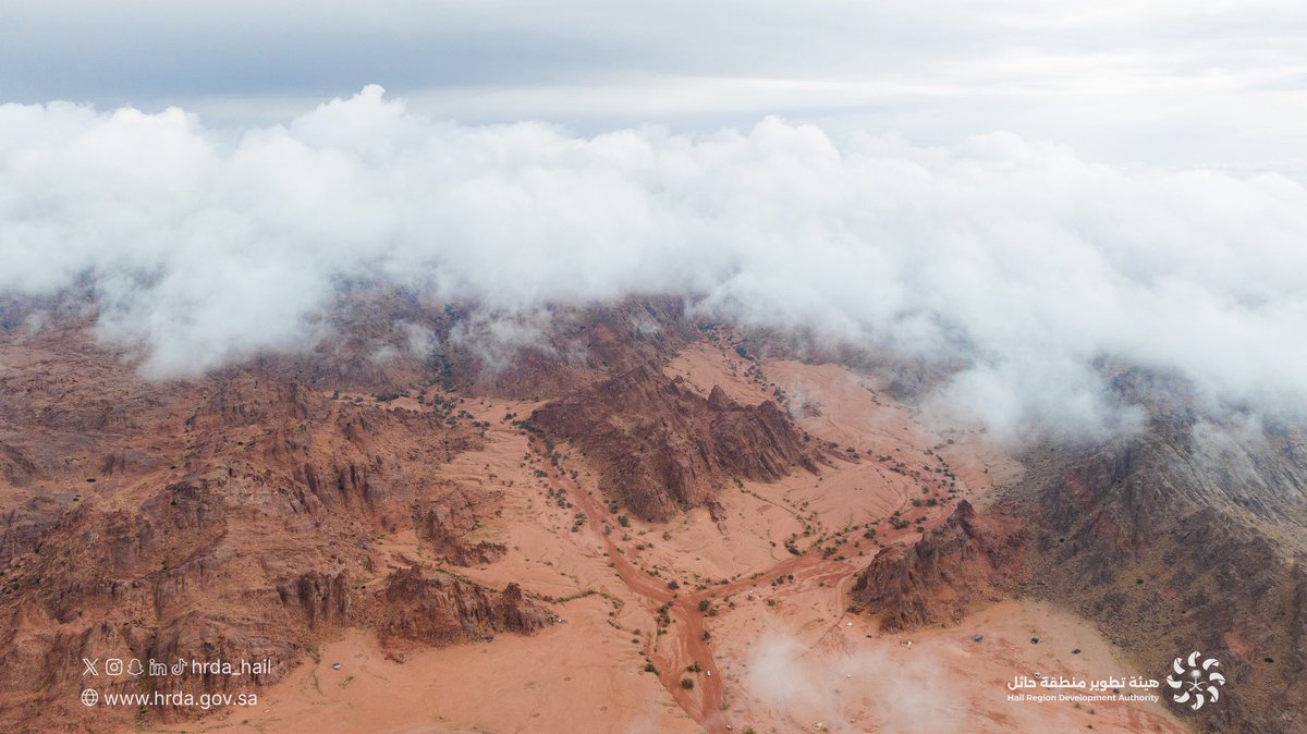 هيئة تطوير منطقة حائل tweet media