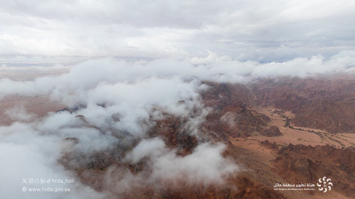 هيئة تطوير منطقة حائل tweet media